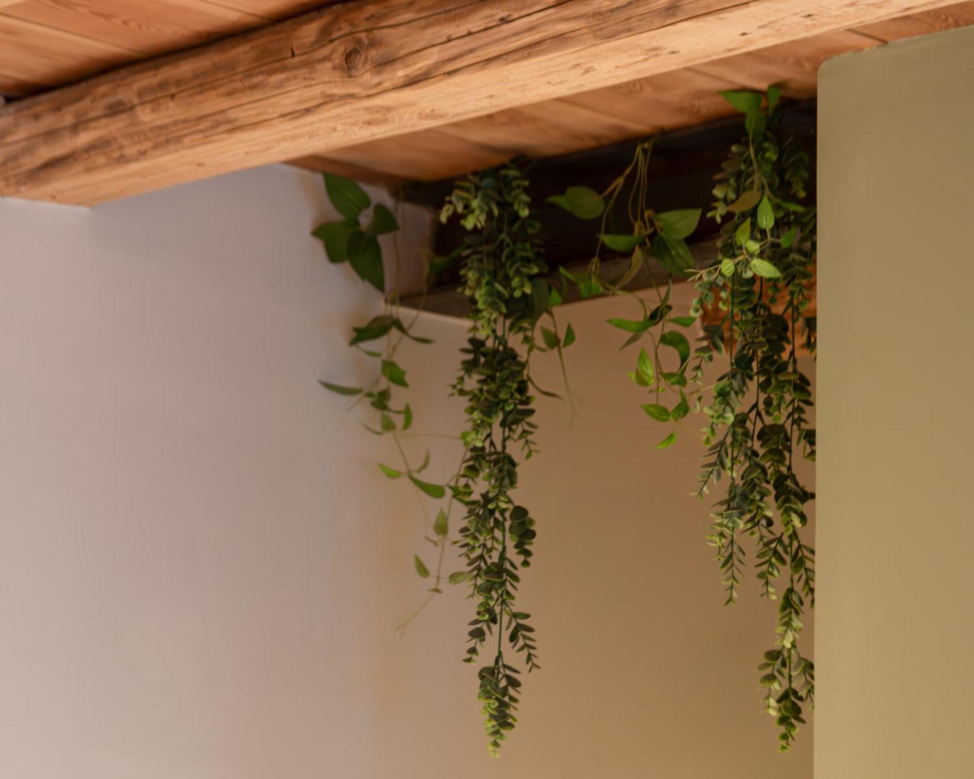Bacaria Bed&Breakfast Μπασάνο Ντελ Γκράπα Εξωτερικό φωτογραφία
